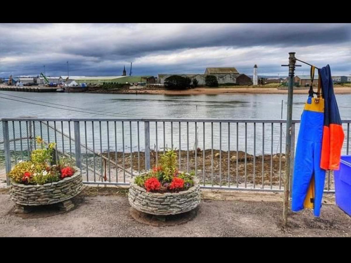 The Thin Seagull 4 Beacon Terrace Ferryden Villa Exteriör bild